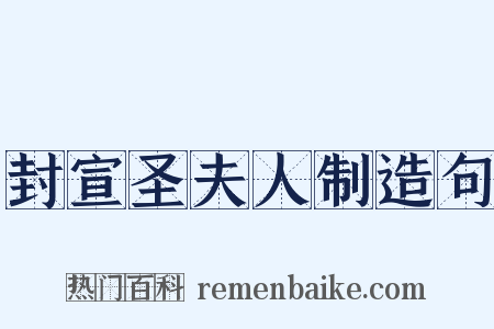 封宣圣夫人制造句是什么意思的图片
